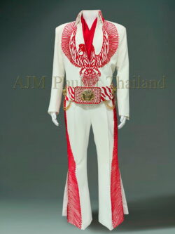 Red Phoenix Jumpsuit and belt